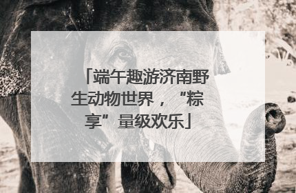 端午趣游济南野生动物世界，“粽享”量级欢乐