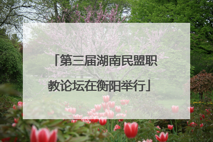 第三届湖南民盟职教论坛在衡阳举行