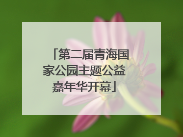 第二届青海国家公园主题公益嘉年华开幕