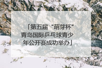 第五届“萌芽杯”青岛国际乒乓球青少年公开赛成功举办