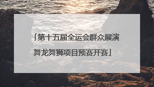 第十五届全运会群众展演舞龙舞狮项目预赛开赛