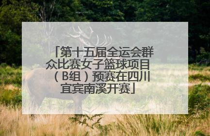 第十五届全运会群众比赛女子篮球项目（B组）预赛在四川宜宾南溪开赛