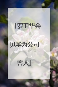 罗卫华会见华为公司客人