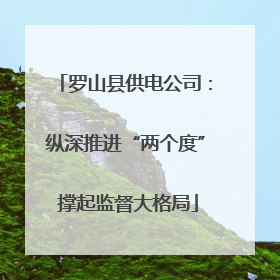 罗山县供电公司：纵深推进“两个度” 撑起监督大格局