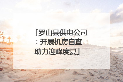 罗山县供电公司：开展机房自查 助力迎峰度夏