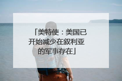 美特使：美国已开始减少在叙利亚的军事存在