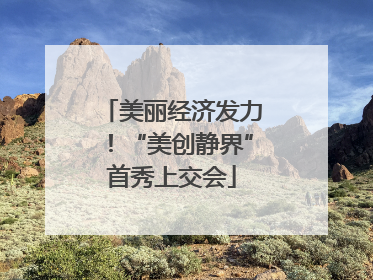 美丽经济发力！“美创静界”首秀上交会