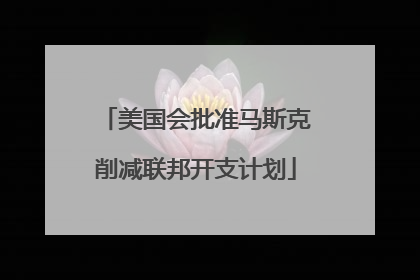 美国会批准马斯克削减联邦开支计划