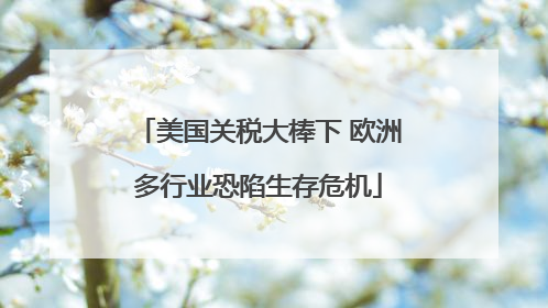 美国关税大棒下 欧洲多行业恐陷生存危机