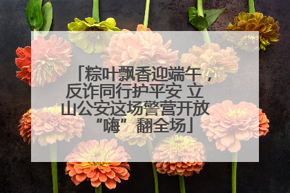 粽叶飘香迎端午，反诈同行护平安 立山公安这场警营开放“嗨”翻全场