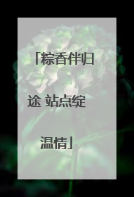 粽香伴归途 站点绽温情