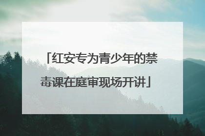 红安专为青少年的禁毒课在庭审现场开讲