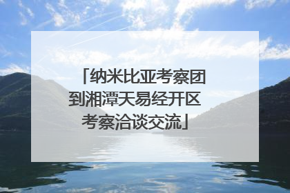 纳米比亚考察团到湘潭天易经开区考察洽谈交流