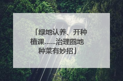绿地认养、开种植课……治理圈地种菜有妙招