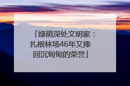 绿荫深处文明家：扎根林场46年又捧回沉甸甸的荣誉