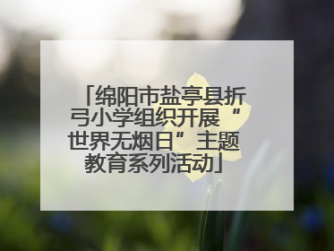 绵阳市盐亭县折弓小学组织开展“世界无烟日”主题教育系列活动