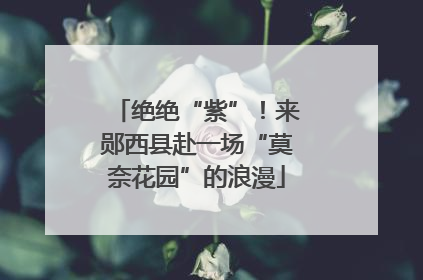绝绝“紫”！来郧西县赴一场“莫奈花园”的浪漫