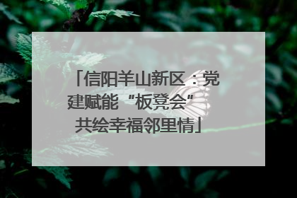 信阳羊山新区：党建赋能“板凳会” 共绘幸福邻里情