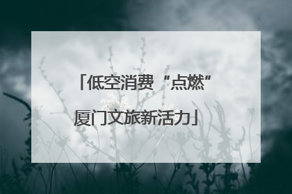 低空消费“点燃”厦门文旅新活力