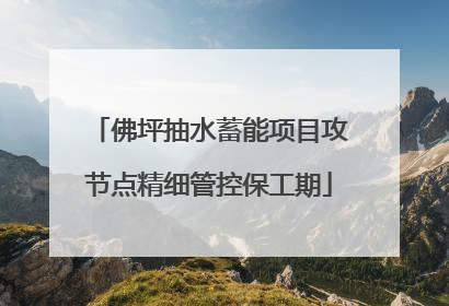 佛坪抽水蓄能项目攻节点精细管控保工期