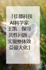 佳都科技AI科学家王凯：探寻共性问题，实现整体效益最大化
