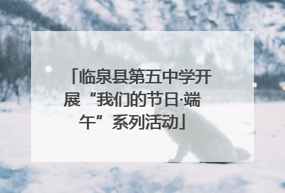 临泉县第五中学开展“我们的节日·端午”系列活动