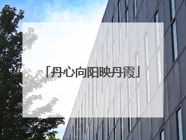 丹心向阳映丹霞