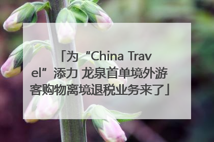 为“China Travel”添力 龙泉首单境外游客购物离境退税业务来了
