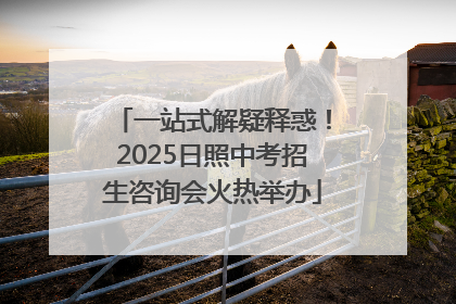 一站式解疑释惑！2025日照中考招生咨询会火热举办