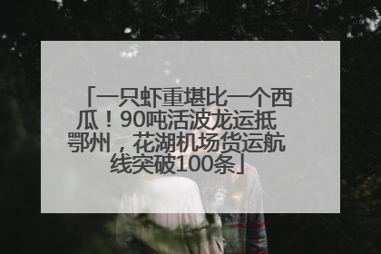 一只虾重堪比一个西瓜！90吨活波龙运抵鄂州，花湖机场货运航线突破100条