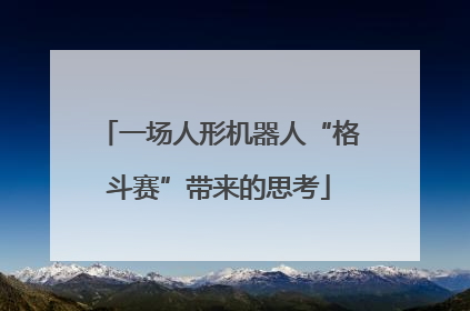 一场人形机器人“格斗赛”带来的思考