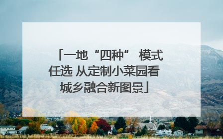 一地“四种” 模式任选 从定制小菜园看城乡融合新图景