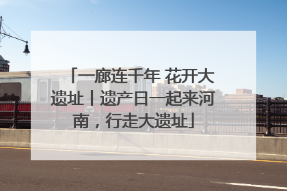 一廊连千年 花开大遗址丨遗产日一起来河南，行走大遗址