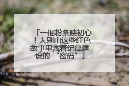 一捆粉条映初心！大别山这些红色故事里藏着纪律建设的 “密码”