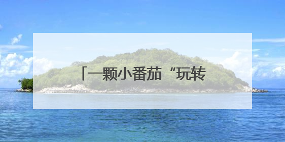 一颗小番茄“玩转”互联网 枝头鲜味变手头表情包
