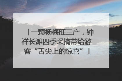 一颗杨梅旺三产，钟祥长滩四季采摘带给游客“舌尖上的惊喜”