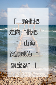一颗枇杷走向“枇杷+” 山海资源成为“聚宝盆”