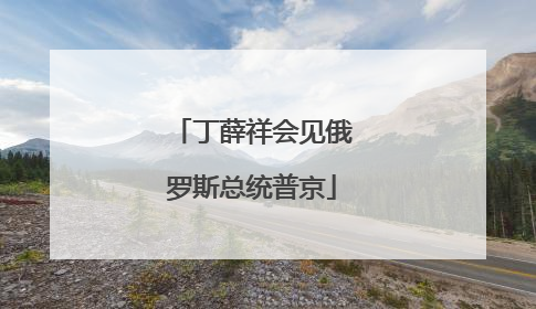 丁薛祥会见俄罗斯总统普京