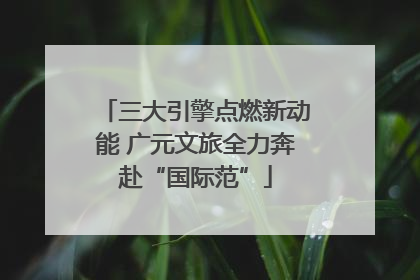 三大引擎点燃新动能 广元文旅全力奔赴“国际范”