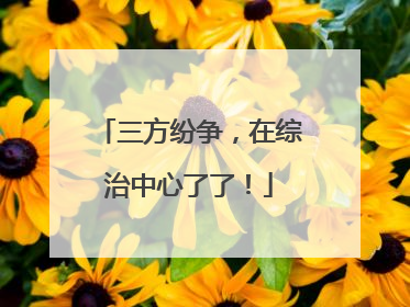三方纷争，在综治中心了了！