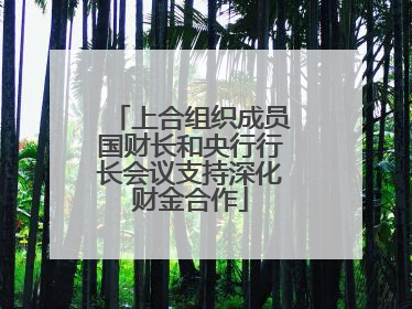 上合组织成员国财长和央行行长会议支持深化财金合作