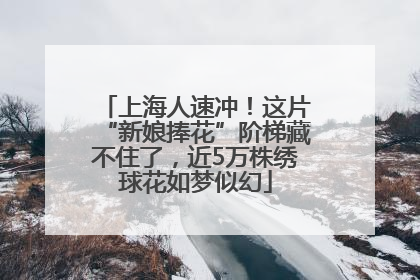 上海人速冲！这片“新娘捧花”阶梯藏不住了，近5万株绣球花如梦似幻