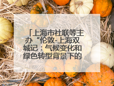上海市社联等主办“伦敦-上海双城记：气候变化和绿色转型背景下的考古、历史和文化遗产”学术对话