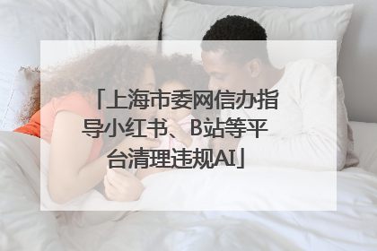 上海市委网信办指导小红书、B站等平台清理违规AI
