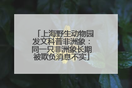 上海野生动物园发文科普非洲象：同一只非洲象长期被欺负消息不实