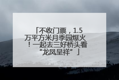 不收门票，1.5万平方米月季园爆火！一起去三好桥头看“龙凤呈祥”