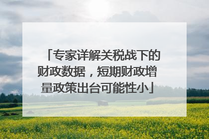 专家详解关税战下的财政数据，短期财政增量政策出台可能性小