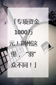 专项资金1000万元！荆州这里，“羽”众不同！