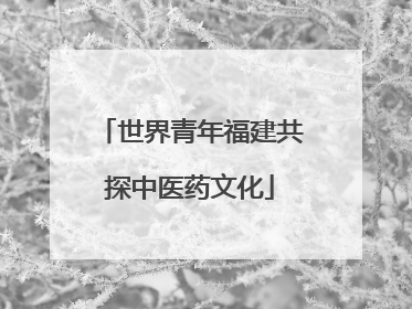 世界青年福建共探中医药文化