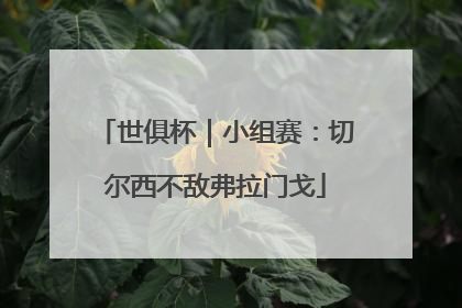 世俱杯｜小组赛：切尔西不敌弗拉门戈